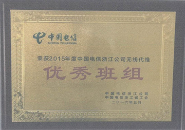 2015年度中國(guó)電信浙江公司無線代維優(yōu)秀班組